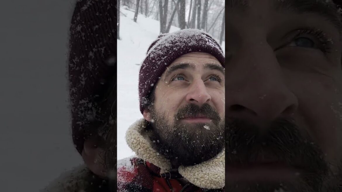 Blizzard hits at our Tiny Cabin in Minnesota! ❄️🌲 #shorts