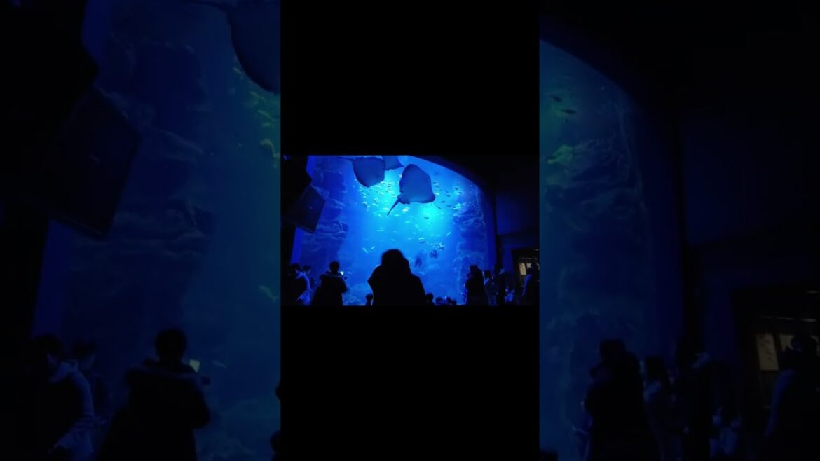 Kyoto Aquarium in Kyoto, Japan part.1 #shorts