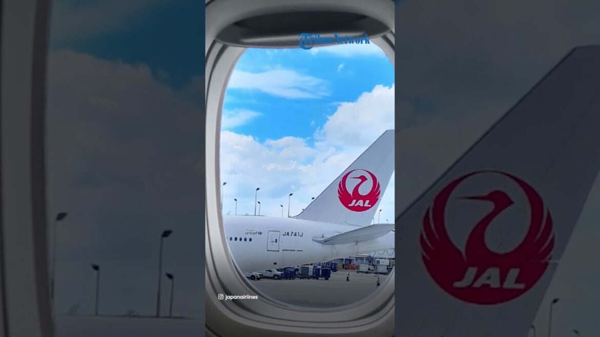 Tak Terduga Pesawat Ini Tertolak Mendarat di Bandara, Harus Putar Balik