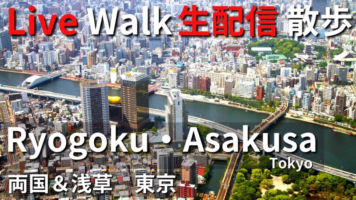 【Live walk / 生配信散歩】Ryogoku & Asakusa, Tokyo, Japan. Along Sumida River / 東京の両国・浅草を散歩！！隅田川沿いを歩きます！！