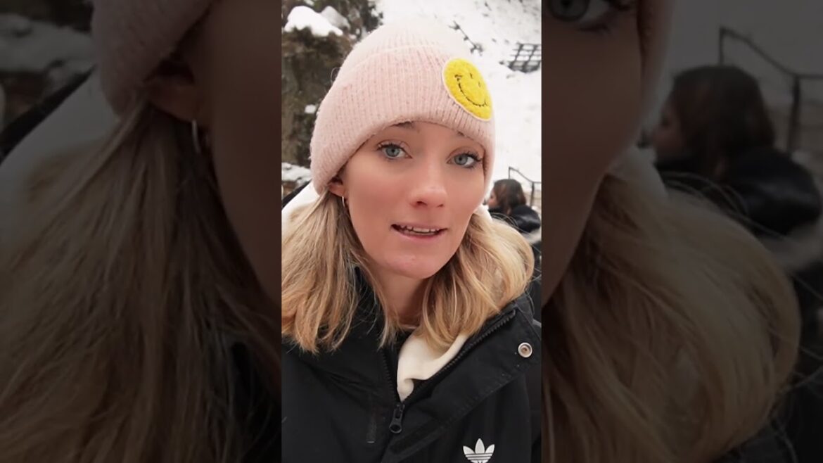 #Japan in winter hits different ♥️🐒❄️ #discoverjapan #snowmonkeys #travelguide #tokyo #nagano