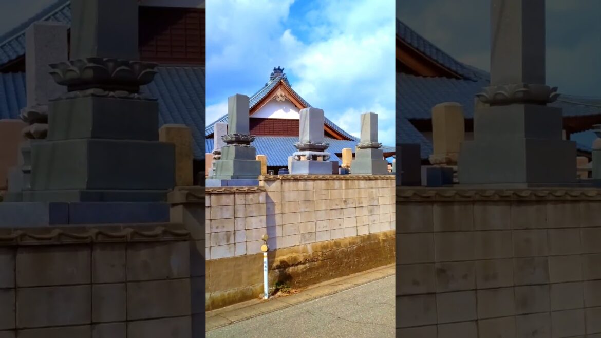 Walk along a Japanese Temple Wall #shorts #japan #shortsvideo Walk along a Japanese Temple Wall #shorts #japan #shortsvideo