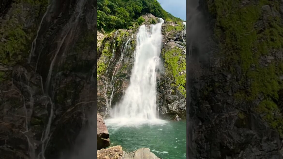 屋久島 大川の滝　Okawa Falls