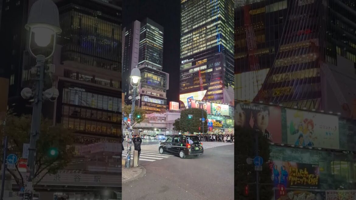 Exploring the Beauty of Shibuya Scramble Square: #shorts Exploring the Beauty of Shibuya Scramble Square: #shorts