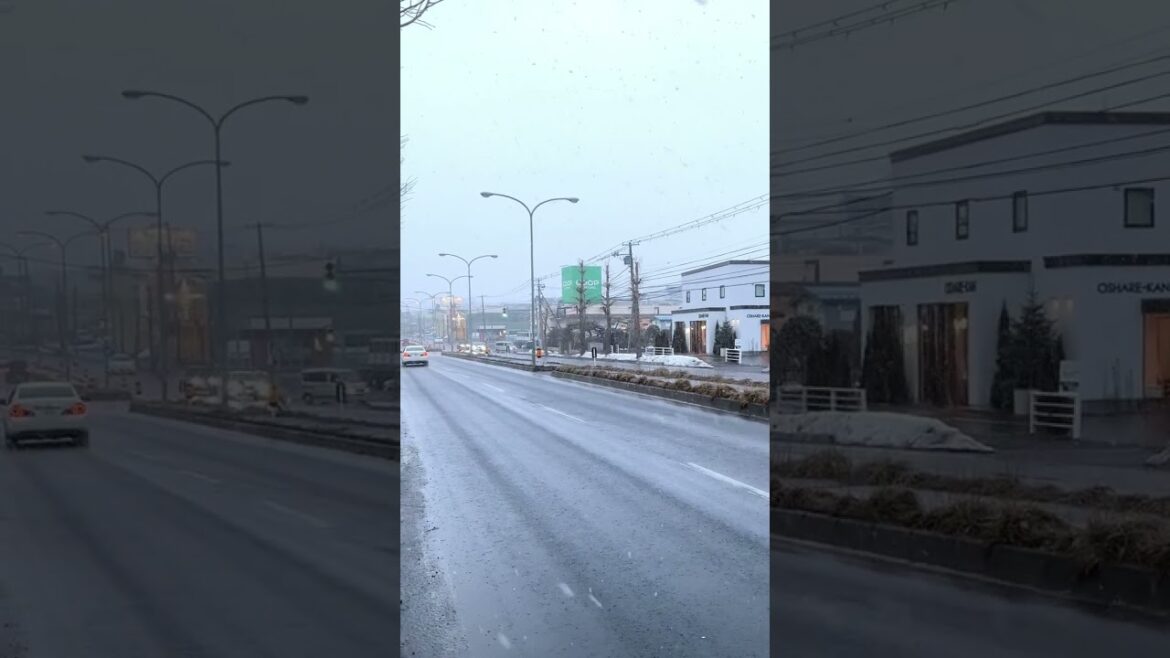 【北海道】珍しいホワイト「ひな祭り」 美しい雪が降る3月3日 #Shorts 【北海道】珍しいホワイト「ひな祭り」 美しい雪が降る3月3日 #Shorts