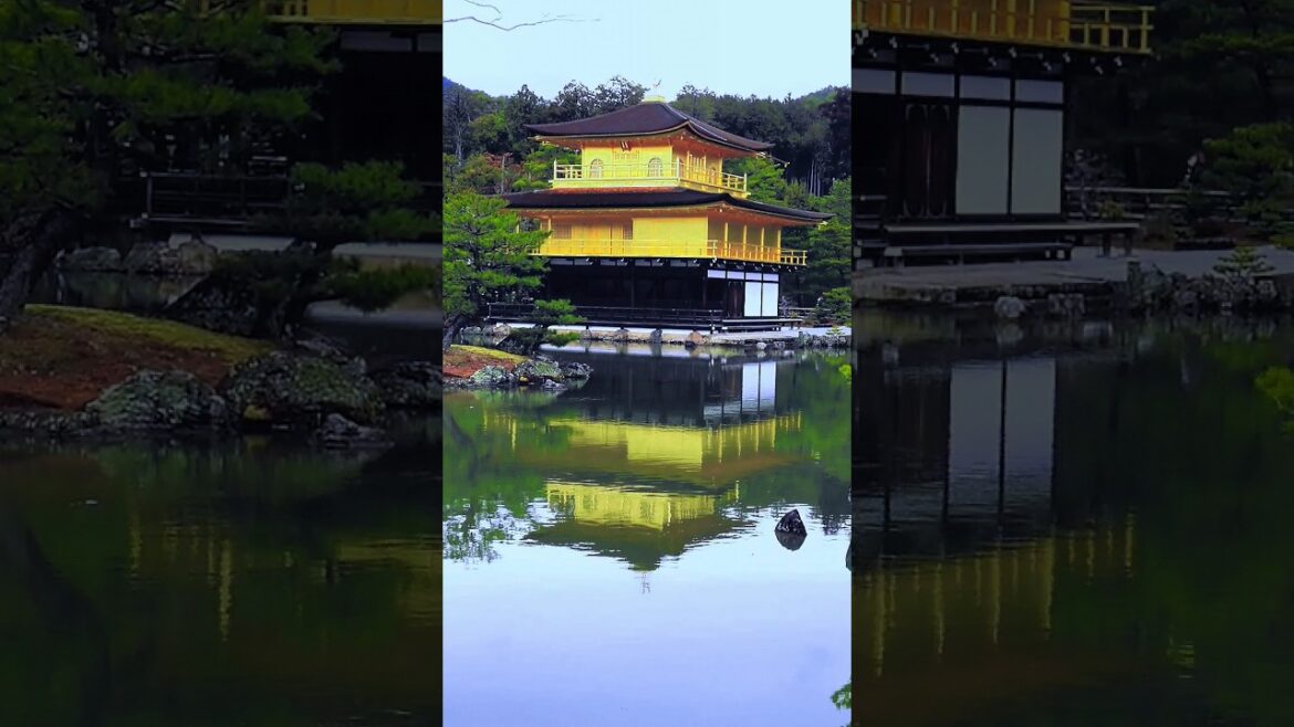 JAPAN | KINKAKUJI- "GOLDEN PAVILION" KYOTO #4k  #walkthrough #travel @ManilaShopper