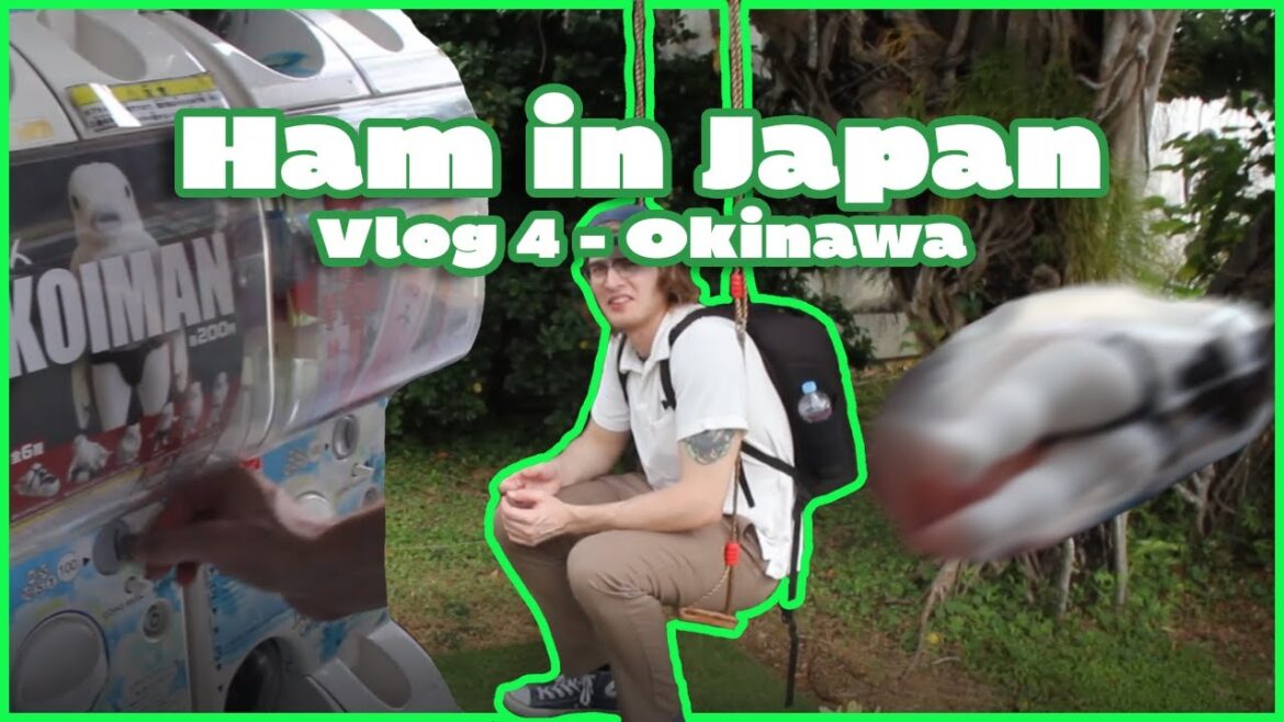 Ham in Japan - Vlog 4 - Okinawa