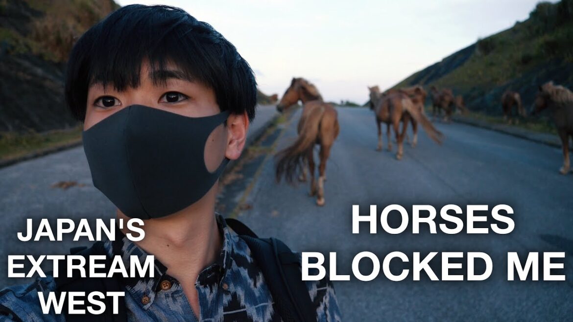 I Went to the WESTERNMOST place of Japan part 2 |Yonaguni, Okinawa 与那国島 I Went to the WESTERNMOST place of Japan part 2 |Yonaguni, Okinawa 与那国島