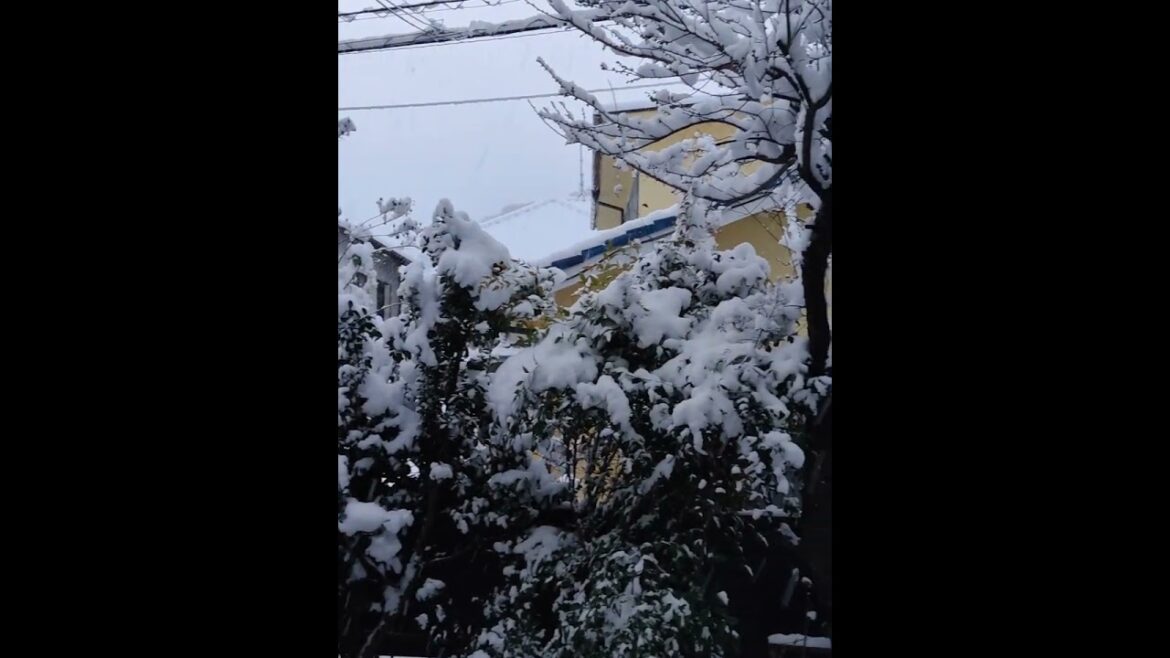 Woke up to a winter wonderland in Hiroshima