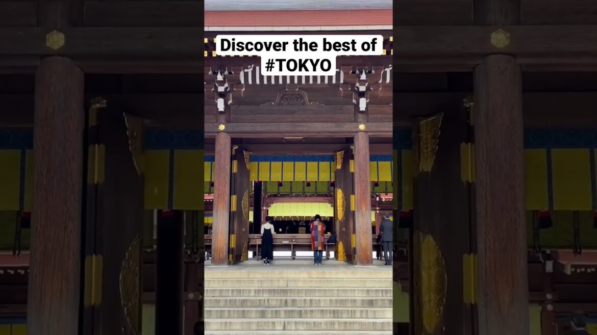 Discover the Magic of #Tokyo: A Complete Travel Guide