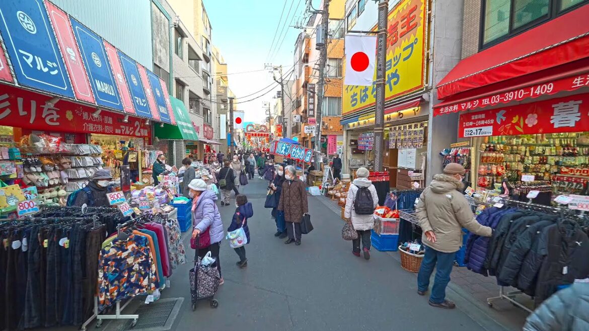 Tokyo market street Sugamo・4K HDR