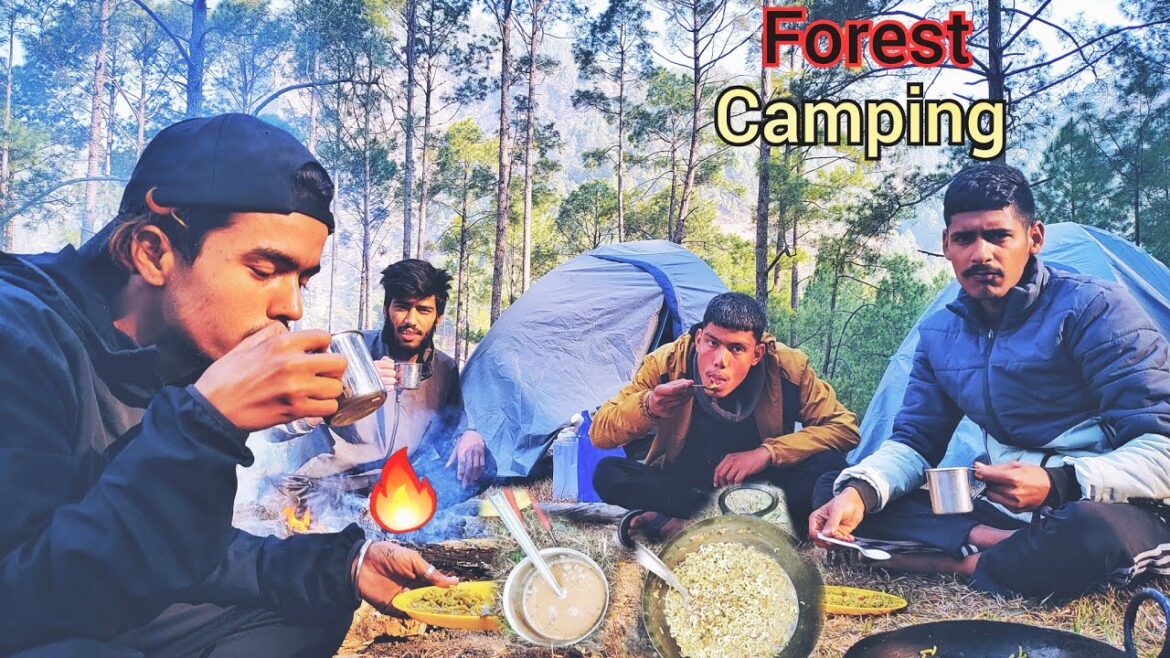 Under the ✨ Stars ||A Group Overnight Camping Experience|| @jungleadventuretv