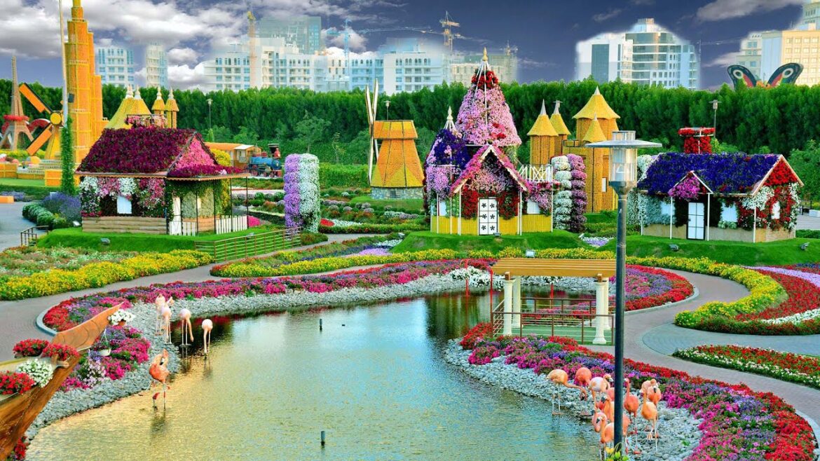 MIRACLE GARDEN DUBAI 2023 | The world’s largest natural flower garden in Dubai | Nibham Nagar Vlogs