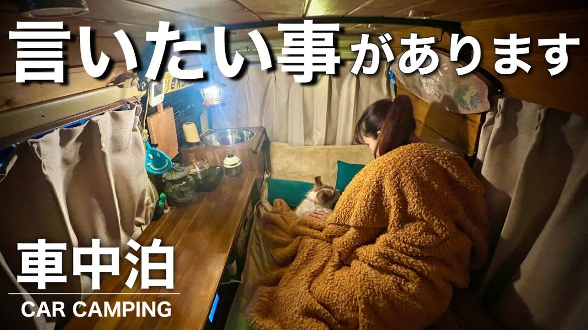 【女一人の車中泊】大バ◯野郎に言いたい事