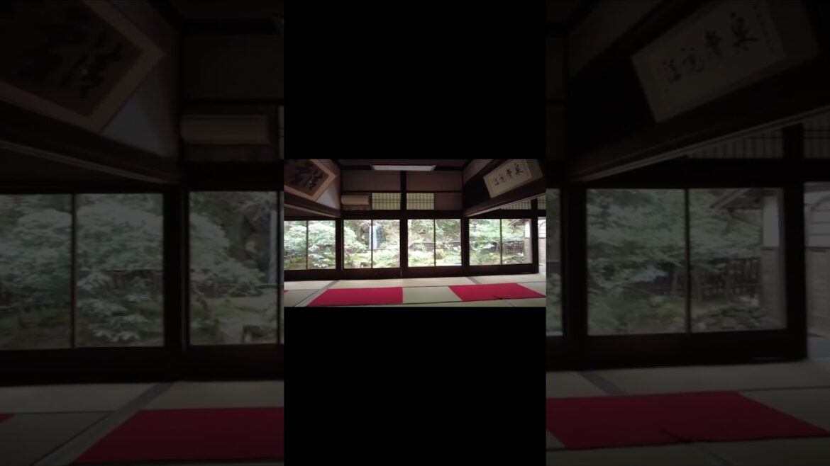 Nanzenji Temple in Kyoto, Japan🎥 #shorts #013