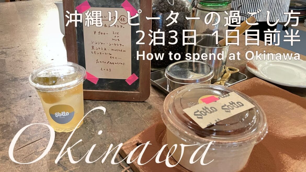 【沖縄旅行】沖縄リピーターの過ごし方 / のんびり旅行編 2泊3日 1日目前半＊国内旅行