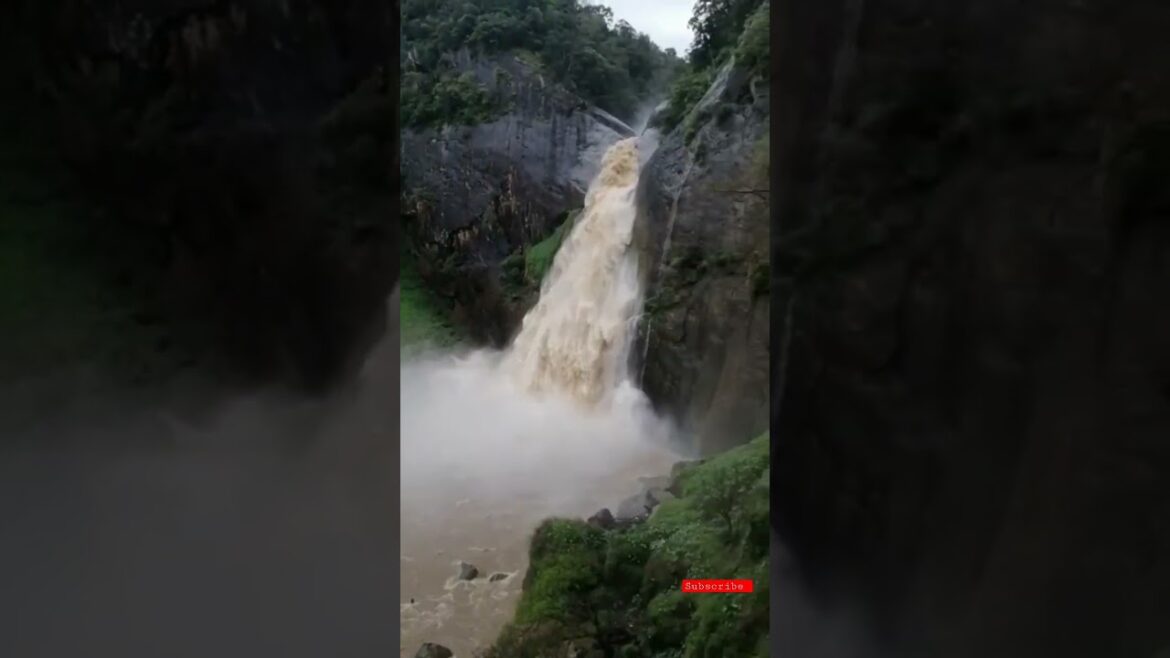 Natural environment with a waterfall 🍃💕the best #shorts #ytshorts #travel Natural environment with a waterfall 🍃💕the best #shorts #ytshorts #travel