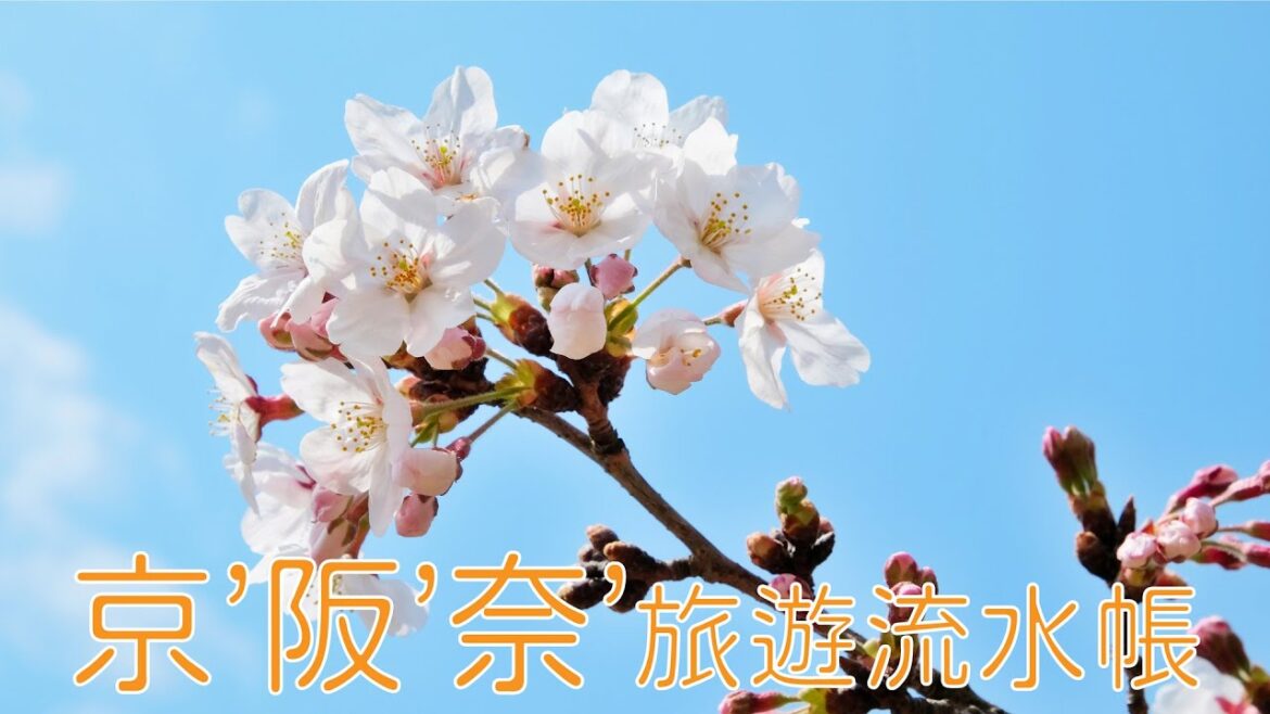 京都、大阪、奈良旅遊9天8夜流水帳 (Kyoto, Osaka, Nara travel 9 days 8 nights) 京都、大阪、奈良旅遊9天8夜流水帳 (Kyoto, Osaka, Nara travel 9 days 8 nights)