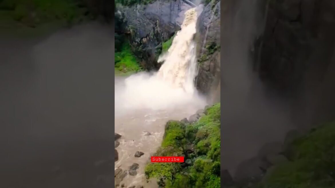 Natural environment with a waterfall 🍃💕the best #shorts #ytshorts #travel Natural environment with a waterfall 🍃💕the best #shorts #ytshorts #travel