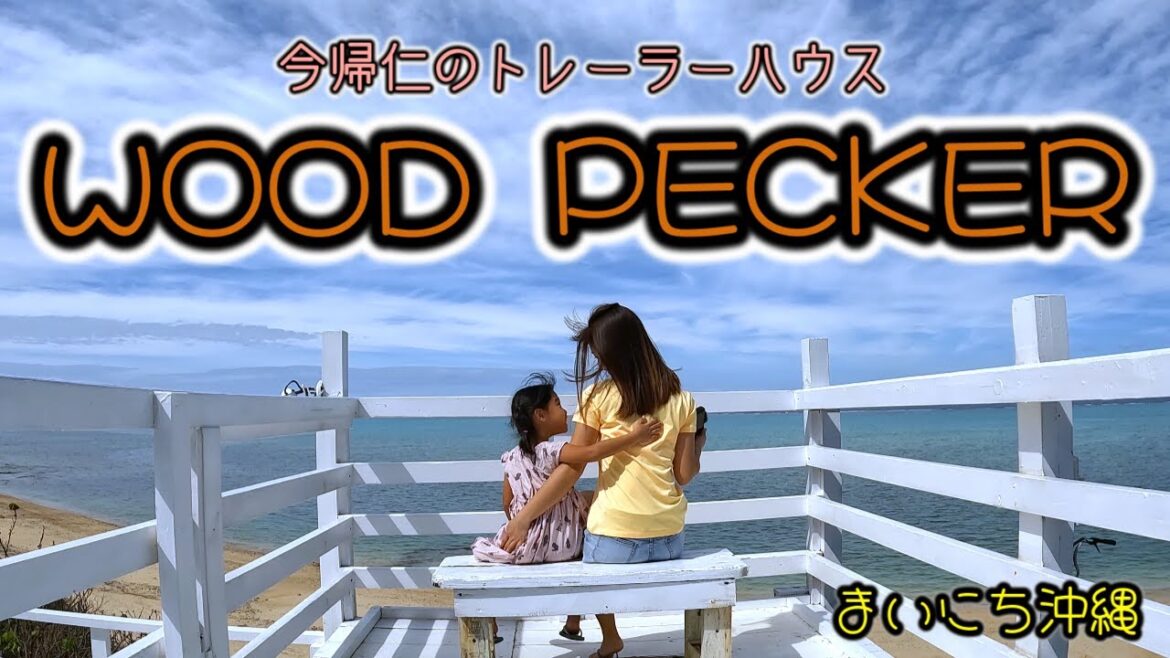 【今帰仁トレーラハウス】WOOD PECKER ! 高評価連発のトレーラーハウス！沖縄やんばるで暮らすしおりファミリー南国日常Vlog　okinawa