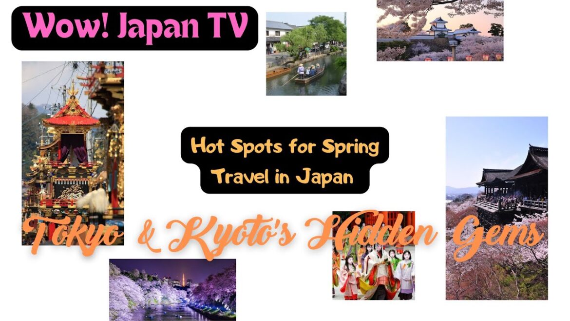 Hot Spots for Spring Travel in Japan: Tokyo & Kyoto's Hidden Gems