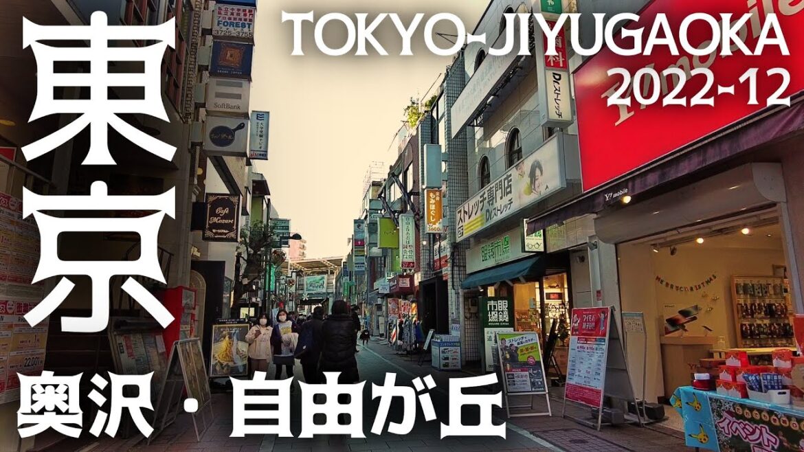 東京23区駅前散歩 自由が丘 奥沢 目黒区 東急東横線 Tokyo Cityscape Meguro Jiyugaoka Okusawa walk