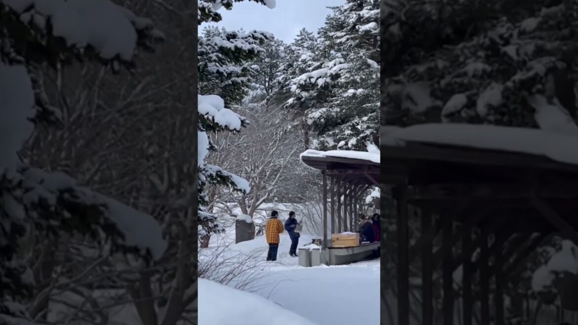 Travel at Aomori in Japan=星野リゾート 青森屋 鏟子三味線
