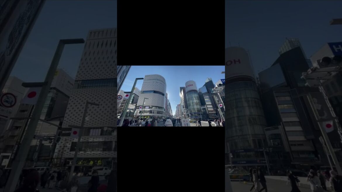 14 DAYS Itinerary from Hokkaido to Tokyo in 2023 #shorts