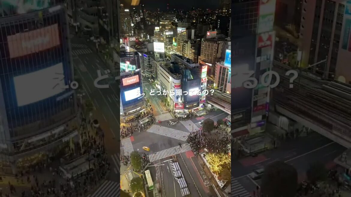 #travel #4k #japan #映像 #gopro #α7iii #illumination #kyoto #sea #snow