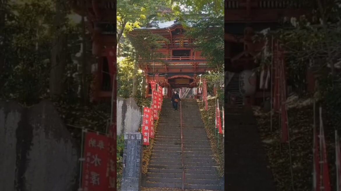 Naruto Feels in Narita san Temple⛩️💮🇯🇵 #japan #japantravel #japantour #shorts #reels #youtubeshorts Naruto Feels in Narita san Temple⛩️💮🇯🇵 #japan #japantravel #japantour #shorts #reels #youtubeshorts