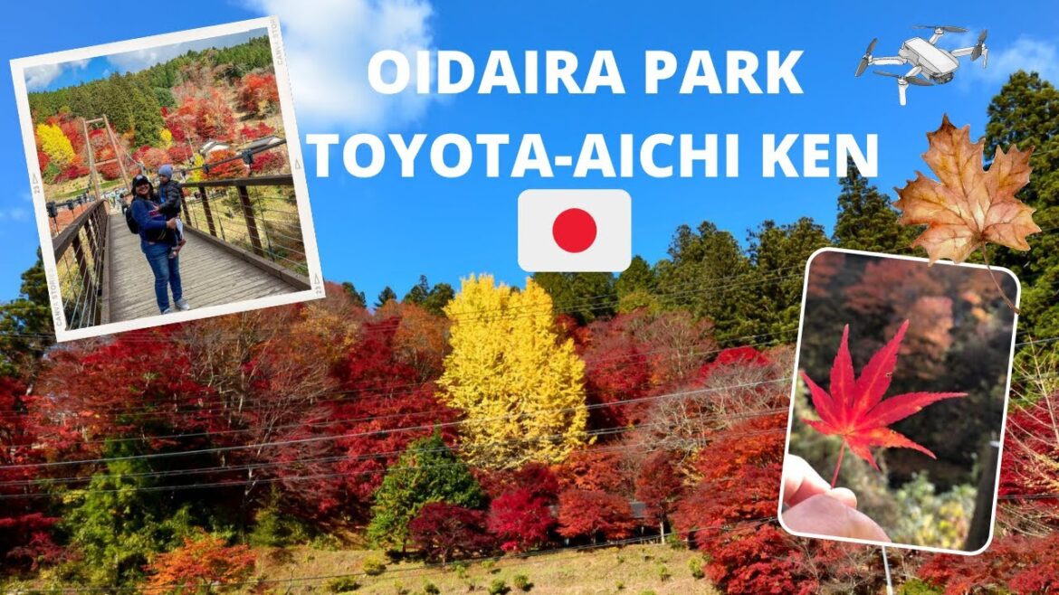 Autumn in Oidaira Park – Toyota Aichi Japan | One of the Best Autumn Spot in Japan Autumn in Oidaira Park - Toyota Aichi Japan | One of the Best Autumn Spot in Japan