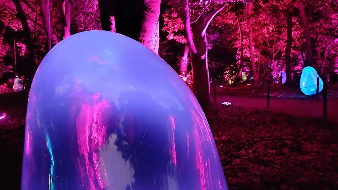Team Lab in Osaka | Nagai Park | Thoughtful Illuminations | Japan | as Seen on Heygo | UNCUT