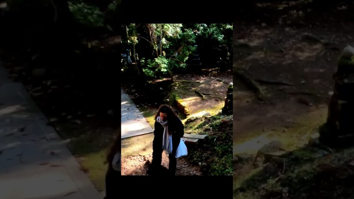 CINEMATIC: OKUNOIN CEMETERY