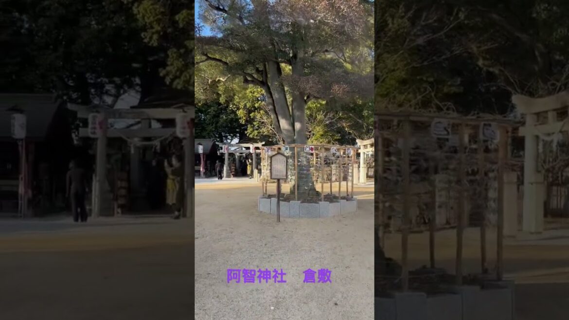 阿智神社　倉敷 Kurashiki