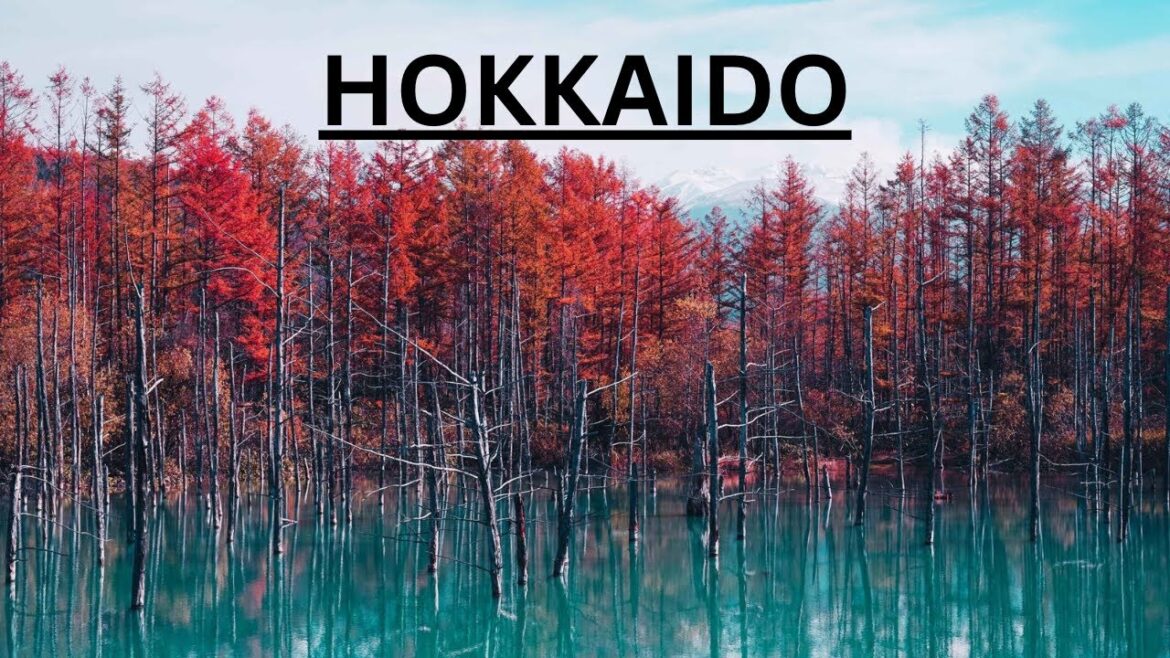 Hokkaido Best Places To Go In 2023! Hokkaido Best Places To Go In 2023!