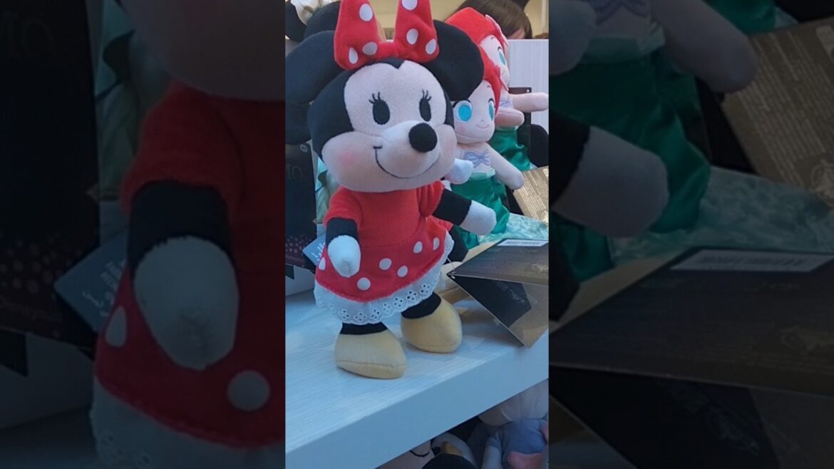 Disneyland in Japan 🗾🗾 travel hot 🔥🔥#tokyo #viralvideo #shortvideo#trending