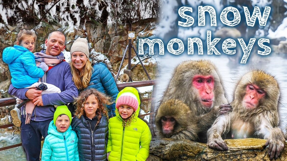 Japanese Snow Monkey Experience and How We Got There With 4 Kids