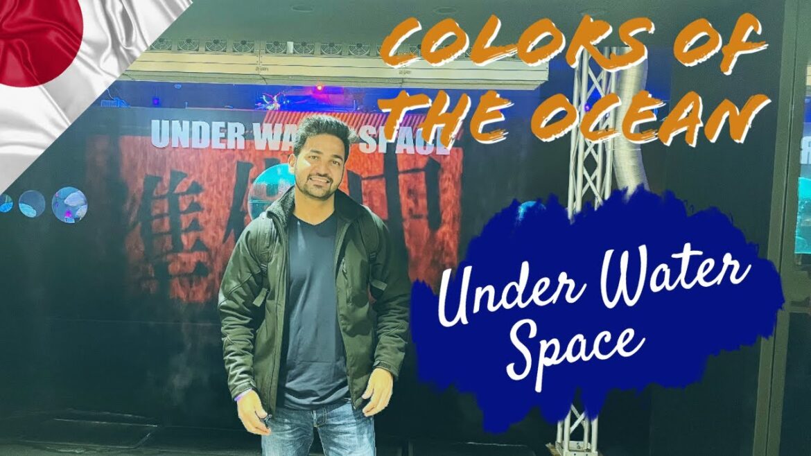 COLORS OF THE OCEAN – UNDER WATER SPACE | AQUARIUM | एक्वेरियम जापान | YOKOHAMA JAPAN | 4K | VLOG 42 COLORS OF THE OCEAN - UNDER WATER SPACE | AQUARIUM | एक्वेरियम जापान | YOKOHAMA JAPAN | 4K | VLOG 42