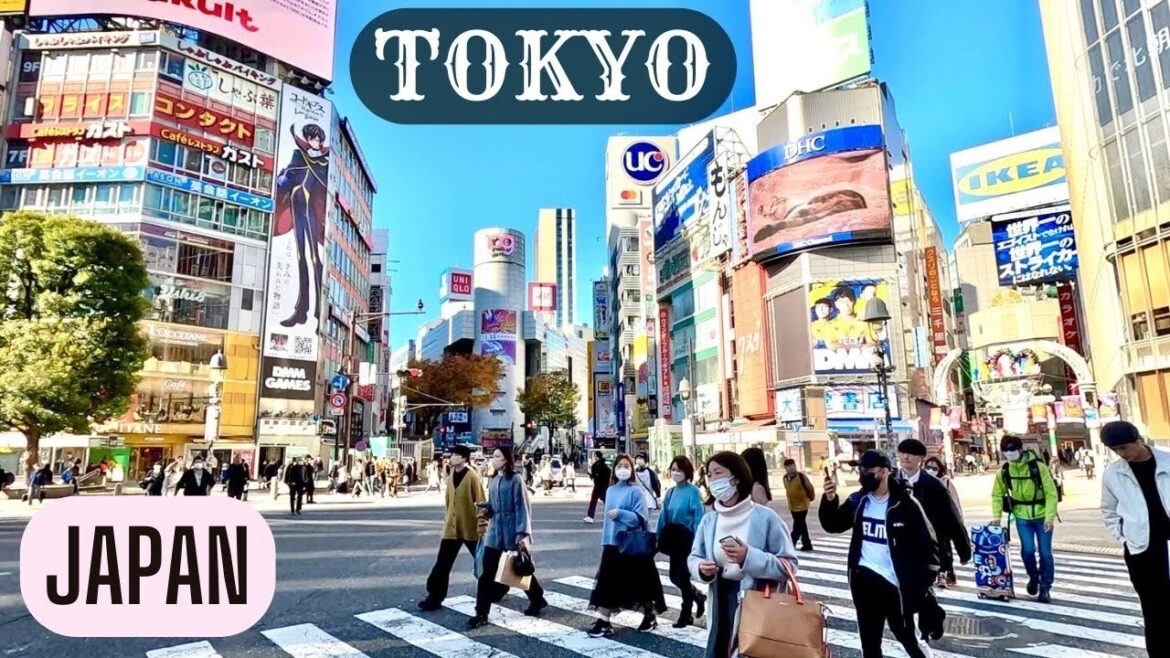 Things to do in Tokyo, Japan Things to do in Tokyo, Japan