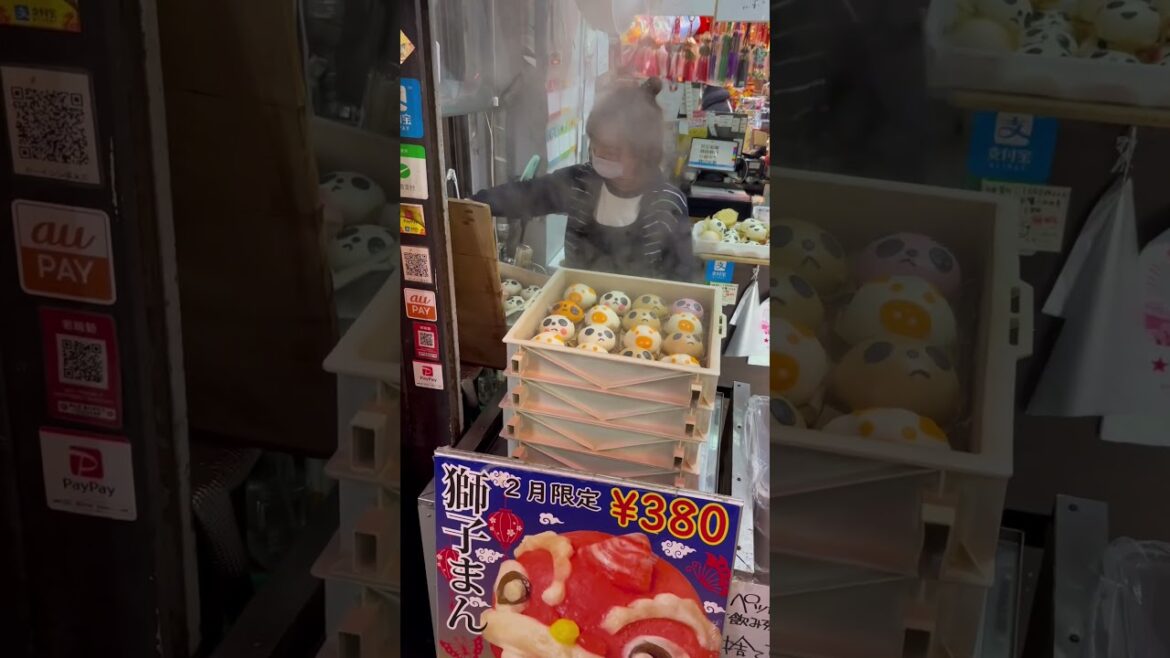 YOKOHAMA CHINATOWN 🐼