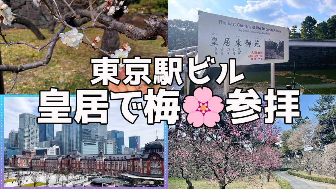 【UNPLAN神楽坂】美しい梅の花咲く皇居東御苑で出勤前に○○する女 I 東京駅 I 都内独身OL平日の朝 【UNPLAN神楽坂】美しい梅の花咲く皇居東御苑で出勤前に○○する女 I 東京駅 I 都内独身OL平日の朝