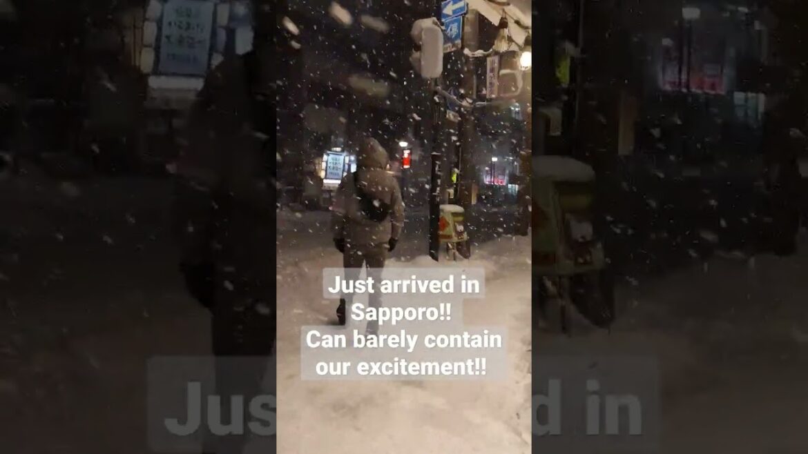 🇯🇵 2023 is the year of fulfilling dreams 🥰 #japan #snowfestival #sapporosnowfestival #sapporo #snow