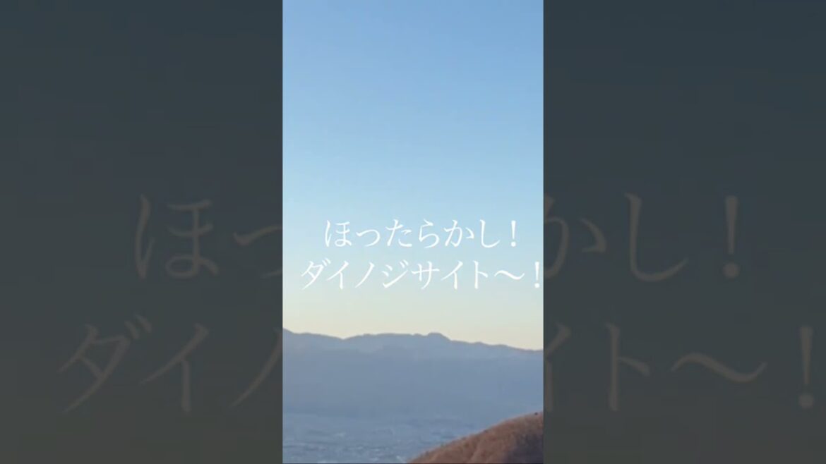 ほったらかしキャンプ場#キャンプ #ほったらかしキャンプ場 #富士山 #bar #焚き火 #夫婦キャンプ