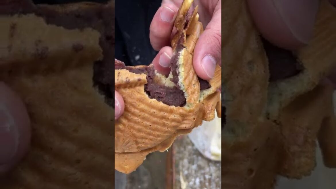 【岡山県津山市】バリエーションは40種類以上！？絶品たい焼き見つけました！#shorts #たい焼き #あずき