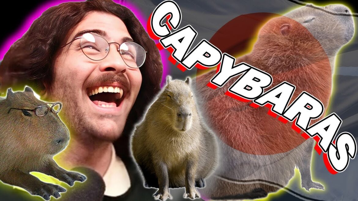 HasanAbi Reacts to Japans Obsession with Capybaras