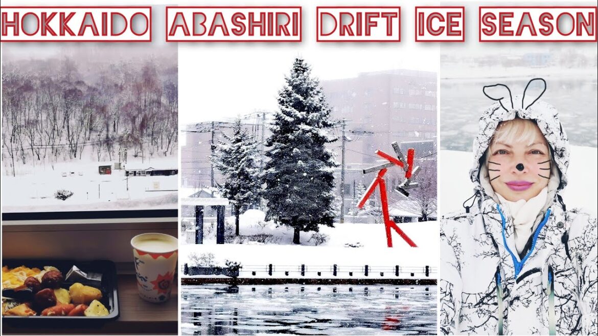 HOKKAIDO ABASHIRI the Cold 🥶 North of JAPAN the hunt for DRIFT ICE starts Toyoko Inn Hotel HOKKAIDO ABASHIRI the Cold 🥶 North of JAPAN the hunt for DRIFT ICE starts Toyoko Inn Hotel
