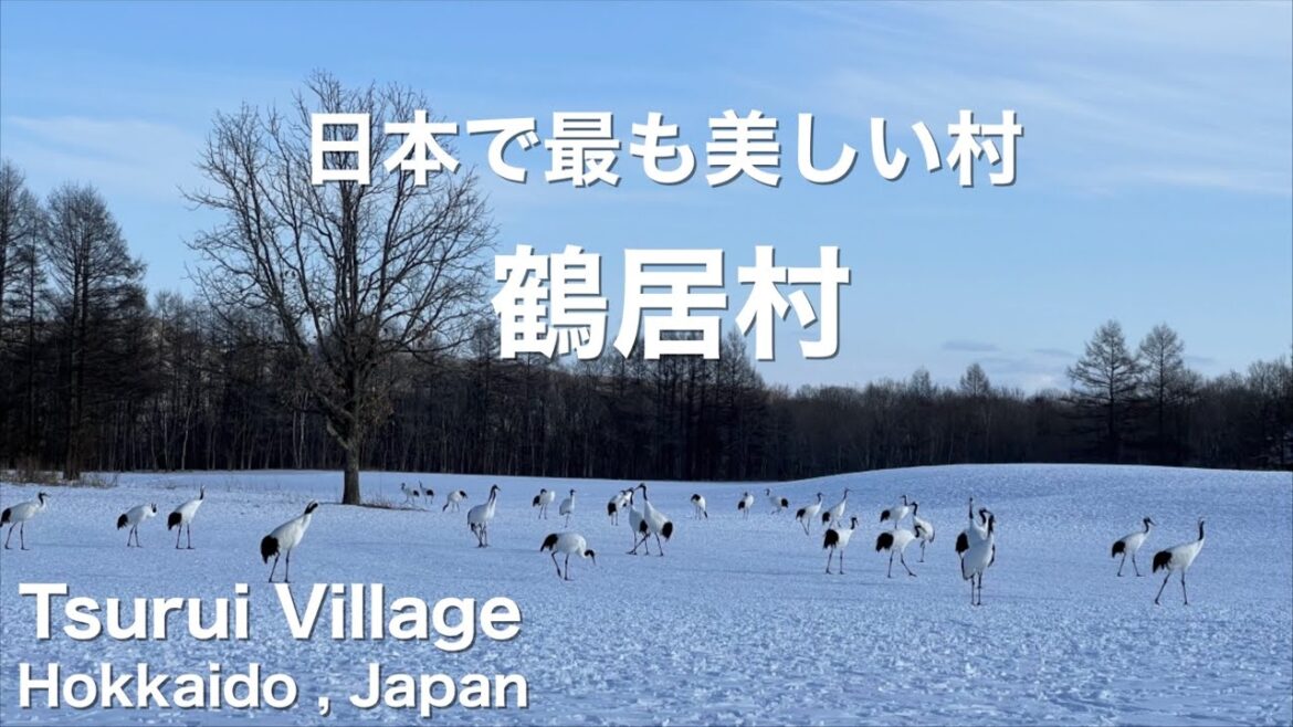【 鶴居村 / Tsurui Village 】真冬の北海道の旅③  The most beautiful village in Japan / A trip to Hokkaido, Japan