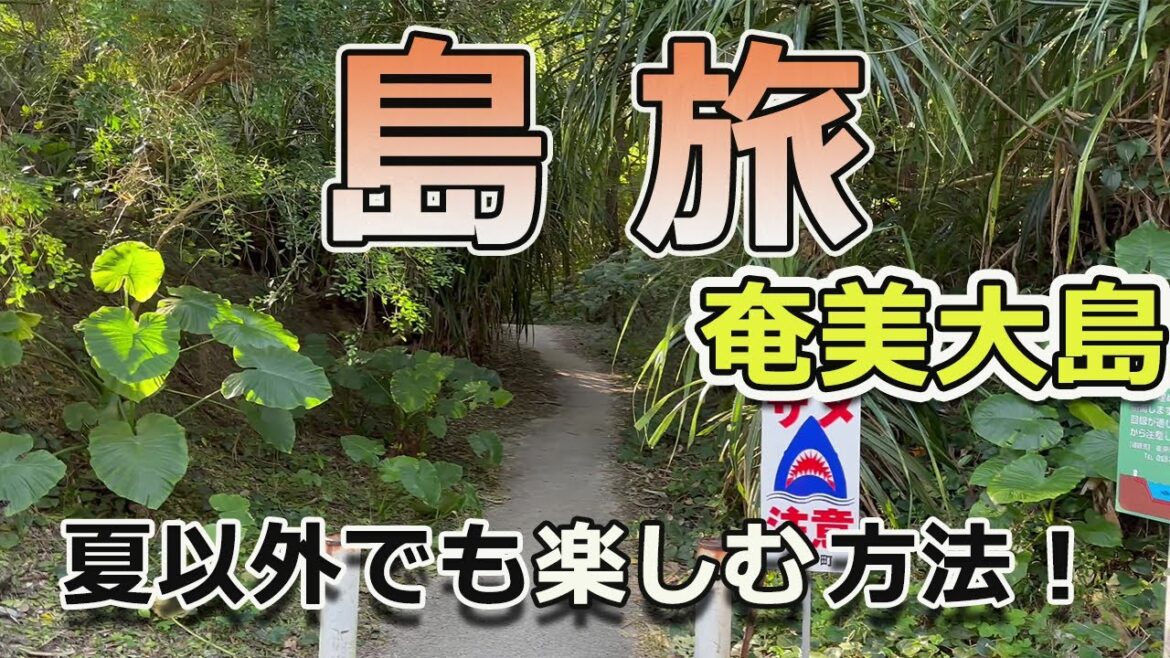 【島旅】奄美大島に遊びに行く。夏だけじゃないスポット。