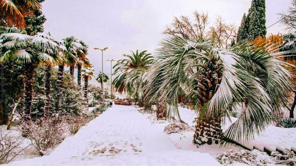 Southern Europe is horrified by snowfalls and frost unprecedented for a long time Southern Europe is horrified by snowfalls and frost unprecedented for a long time