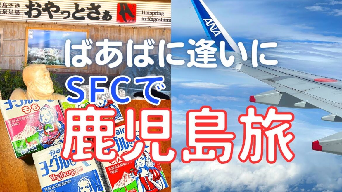 【SFC会員】鹿児島でばあばに逢ったりローカルな旅をしてきました 【SFC会員】鹿児島でばあばに逢ったりローカルな旅をしてきました